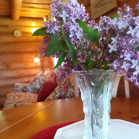 Semesterbostad Forest Edge *