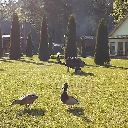 بيت للعطل Forest Edge