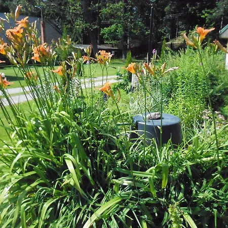 Forest Edge بيت للعطل