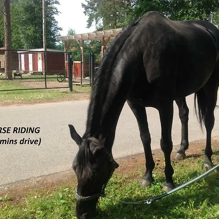 Forest Edge بيت للعطل