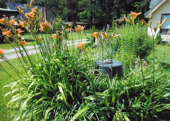 Forest Edge Casa de Férias