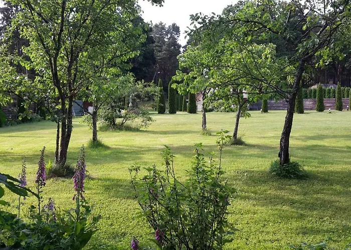 Casa de Férias Forest Edge *