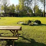 Forest Edge