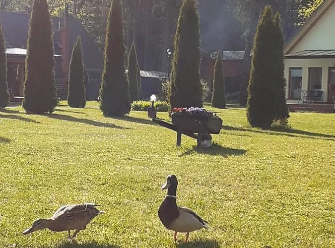 度假居 Forest Edge