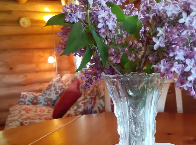 度假居 Forest Edge *