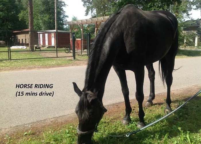 Forest Edge 度假居